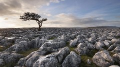 Landscapes Trees clouds
