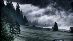 Landscapes Trees clouds