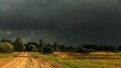 Landscapes Trees clouds