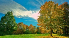 Landscapes Trees clouds