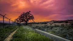 Landscapes Trees clouds