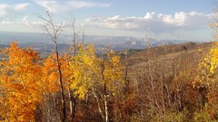 Landscapes Trees clouds