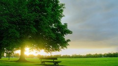 Landscapes Trees clouds bench