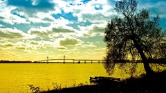 Landscapes Trees clouds Bridges