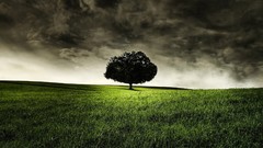 Landscapes Trees clouds dark