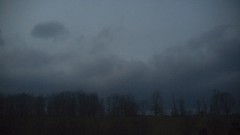 Landscapes Trees clouds dark gloomy forests