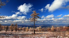 Landscapes Trees clouds forests