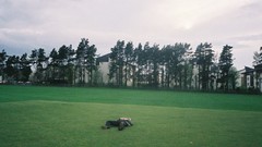 Landscapes Trees clouds Men fields lying down