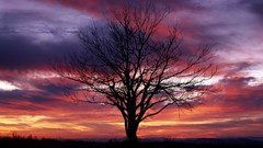 Landscapes Trees clouds national park multicolor shenandoah