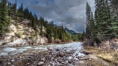Landscapes Trees clouds photography best background widescreen 