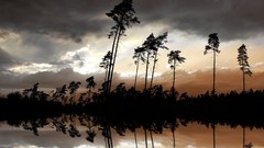 Landscapes Trees clouds reflections