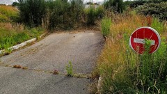 Landscapes Trees clouds roads James Lapett