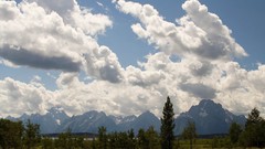 Landscapes Trees clouds skyscapes
