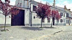 Landscapes Trees countryside buildings cities Portalegre