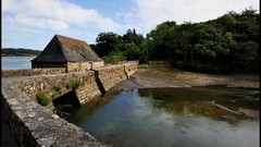 Landscapes Trees dam lakes houses forests James Lapett