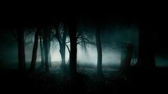 Landscapes Trees dark night