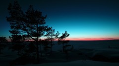 Landscapes Trees dawn