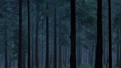 Landscapes Trees dawn forests