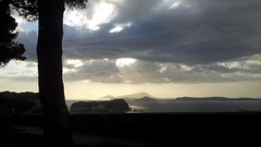 Landscapes Trees dawn skyscapes