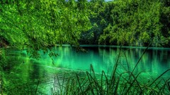 Landscapes Trees Europe croatia lakes forests plitvice