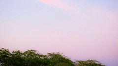 Landscapes Trees evening Beaches kish island