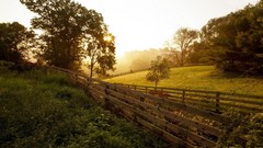 Landscapes Trees fences