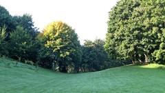 Landscapes Trees fields