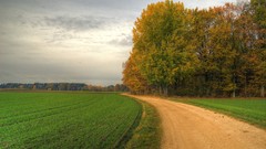 Landscapes Trees fields
