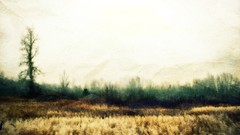 Landscapes Trees fields