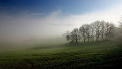 Landscapes Trees fields mist