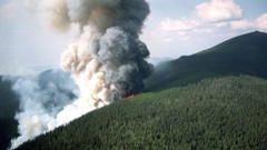 Landscapes Trees fire Mountains smoke burning forests