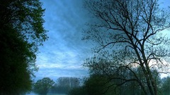 Landscapes Trees fog rivers