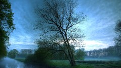 Landscapes Trees fog rivers