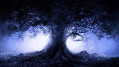 Landscapes Trees forests