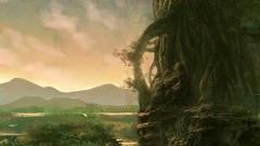 Landscapes Trees forests