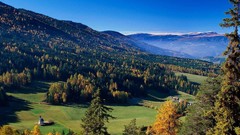 Landscapes Trees forests