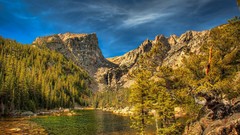 Landscapes Trees forests