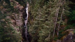 Landscapes Trees forests