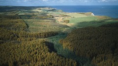 Landscapes Trees forests flora