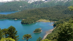 Landscapes Trees forests lakes