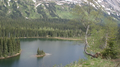 Landscapes Trees forests lakes