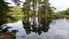 Landscapes Trees forests lakes