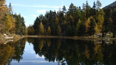 Landscapes Trees forests lakes