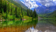 Landscapes Trees forests rivers