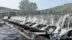 Landscapes Trees France dam Europe