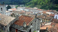 Landscapes Trees France Europe houses forests Villages