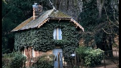 Landscapes Trees France houses James Lapett