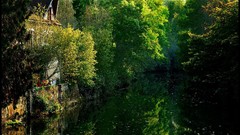 Landscapes Trees France houses rivers forests artwork James 