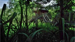 Landscapes Trees France Photographers houses forests artwork 