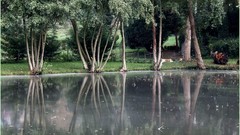 Landscapes Trees France Photographers reflections rivers 